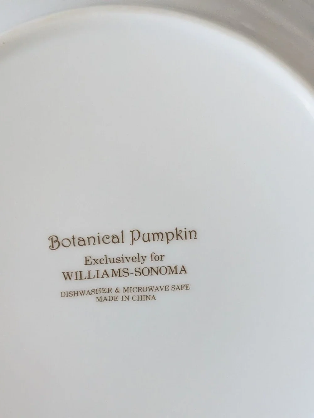 Williams Sonoma Botanical Pumpkin Large Rim Soup Bowl Set of 4 Harvest Dining